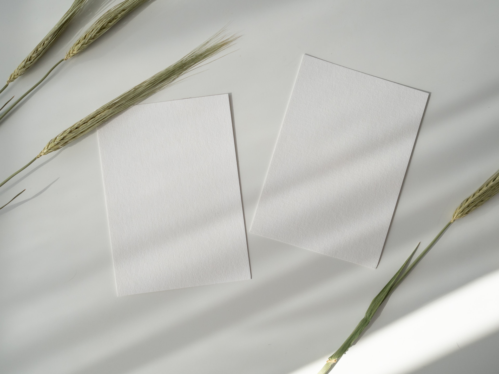 sustainable paper for printing